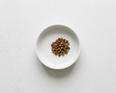Precisely portioned dry cat kibble in a modern ceramic bowl — how much to feed a cat by age and weight guide | PetNex Australia