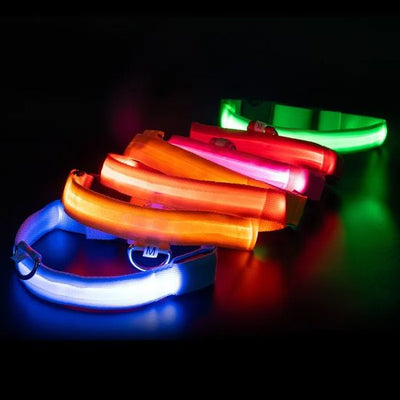 PetNex LED Light-Up Dog Collar | Rechargeable, Reflective & Waterproof