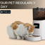 Cat eating from an automatic pet feeder with text 'Feed your pet regularly every day' on a beige background.