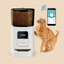 Smart pet feeder with a cat and smartphone app on a beige background