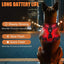 Dog wearing a LED harness with light modes and battery life text on a city night background