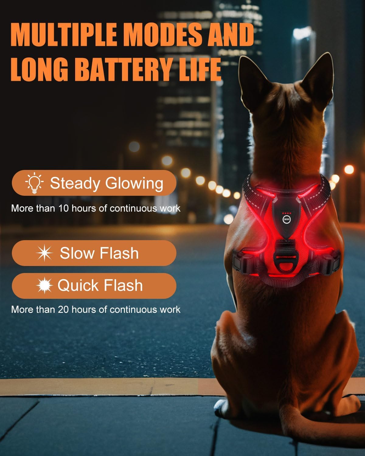 Dog wearing a LED harness with light modes and battery life text on a city night background