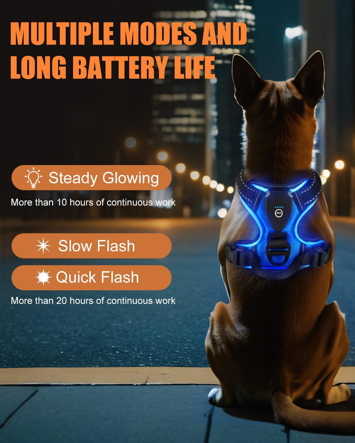 Dog wearing a LED harness with features highlighted against a cityscape background
