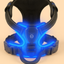 Blue dog harness with blue LED lights on a beige background