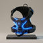 Blue dog harness with blue LED lights on a beige background