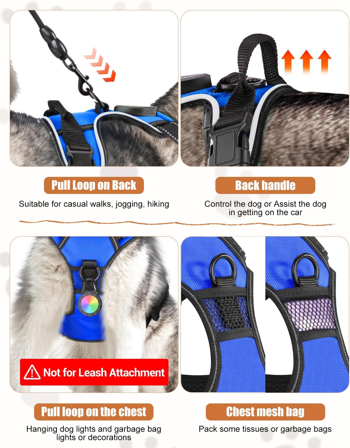 Dog harness with various features highlighted on a gray background