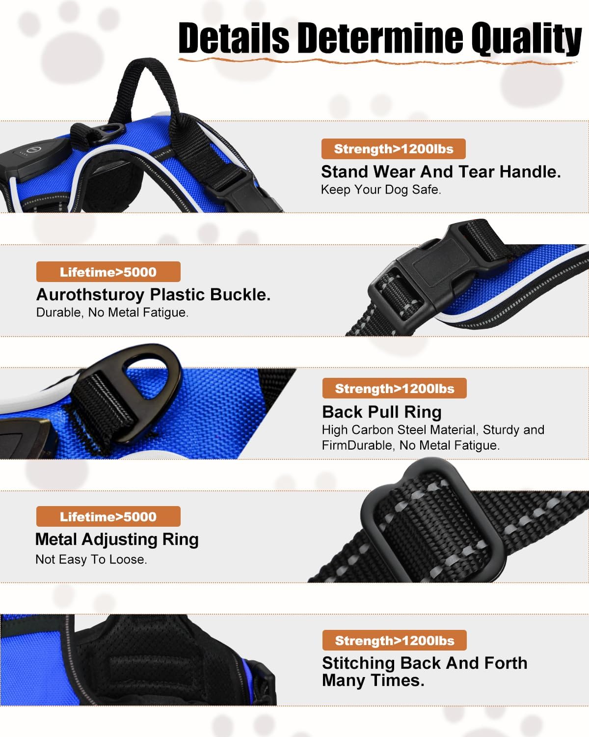 Dog leash with features highlighted on a white background