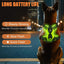 Dog wearing a green LED harness with text about multiple modes and long battery life against a cityscape background.
