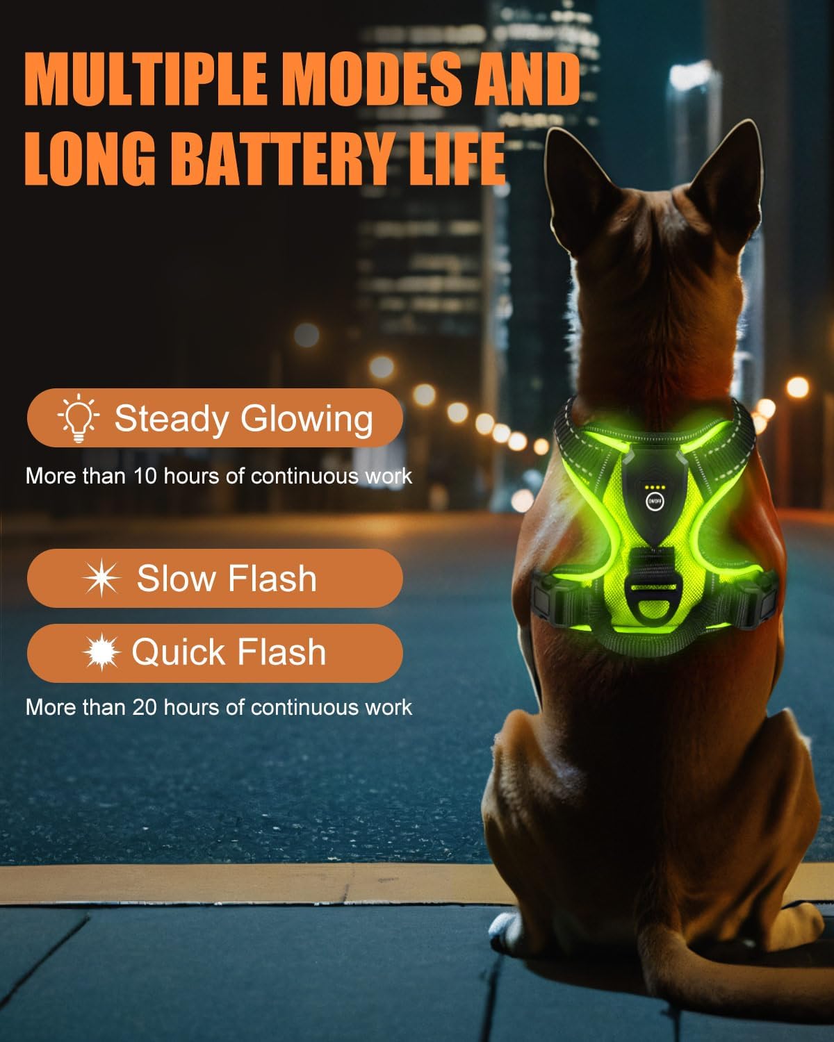 Dog wearing a green LED harness with text about multiple modes and long battery life against a cityscape background.