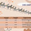 Dog size chart with neck girth, chest girth measurements, and suggested dog breeds on a beige background.