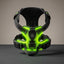 Green LED dog harness on a beige background