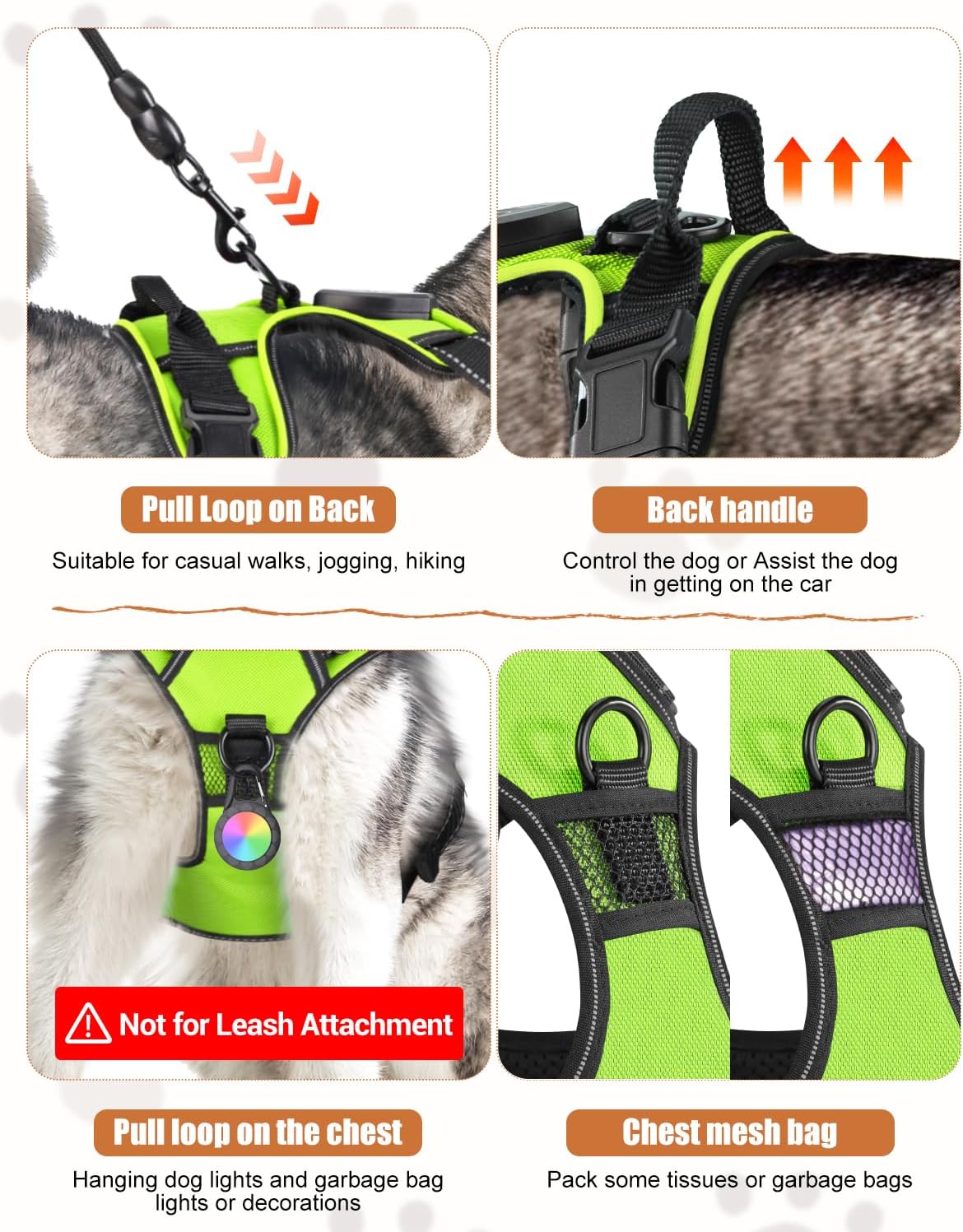 Green dog harness with features highlighted on a gray background