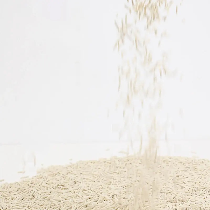 Close-up of beige carpet with a blurred background