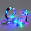 PetNex Blue LED dog collar and leash set on a dark background