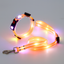 PetNex Orange Glowing LED dog collar and leash on a light grey background