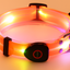 PetNex Orange LED dog collar glowing on a plain background