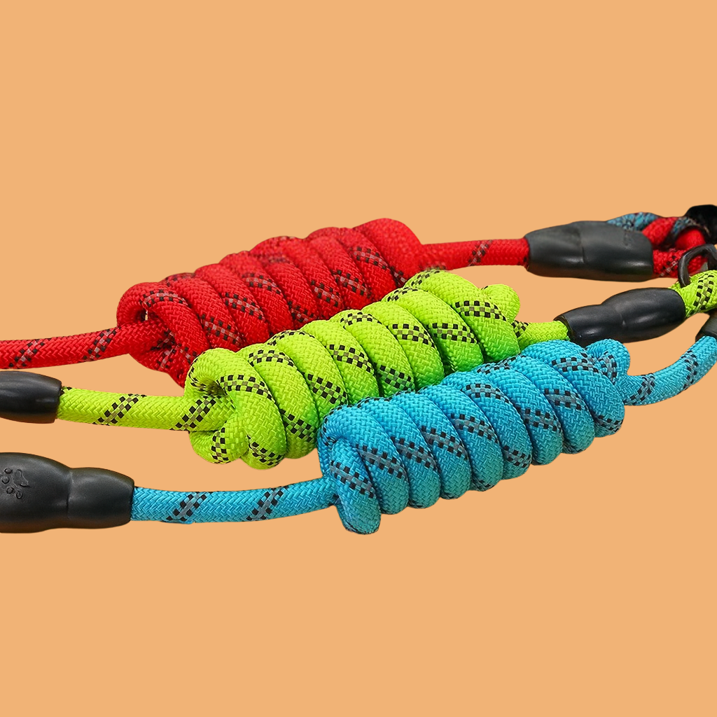 Three colorful braided dog leash on a beige background