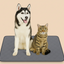 Dog and cat sitting on a grey pet mat with a beige background