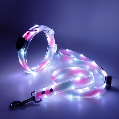 PetNex white LED dog collar and leash set on a dark background