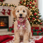 Puppy wearing a red plaid bow tie collar in a festive room with Christmas tree and stockings.