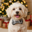 White dog wearing a bow tie in front of a decorated Christmas tree with lights and presents.